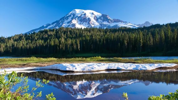 Tagesausflug von Seattle zum Mount Rainier Nationalpark [Wandern im Mount Rainier Nationalpark]
