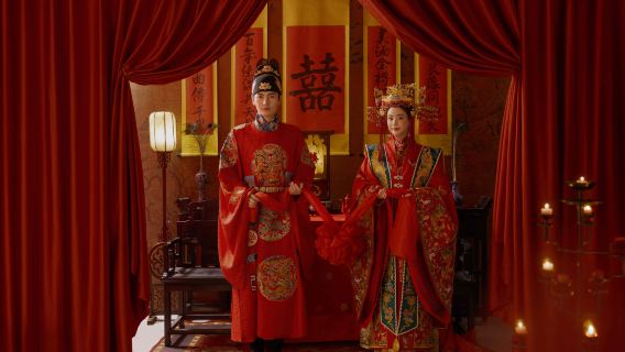 Suihua Wangkui Qinggang Qing'an Suiling multilingual guide services, private charter, customized travel planning, business accompaniment, and professional photography documentation.