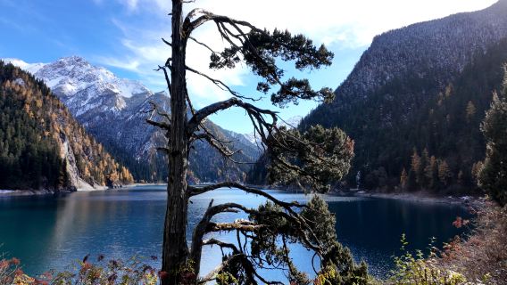 Excursion d'une journée à Jiuzhaigou [Heure de départ ajustable|Véhicule privé ou navette partagée en option