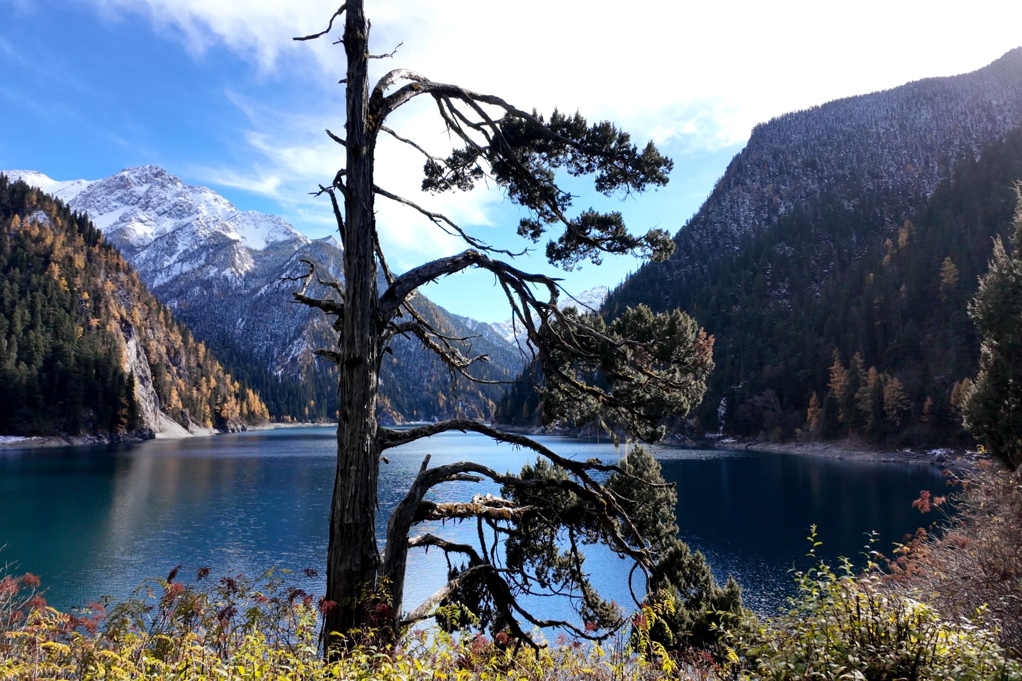 Excursión de un día a Jiuzhaigou [Hora de salida ajustable]|Vehículo privado opcional o autobús compartido