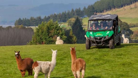 New Zealand Auckland 1-day tour