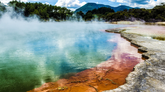 紐西蘭羅托魯瓦｜旅遊陪同翻譯｜展會｜商務考察洽談｜自由行地接｜接機（可私人訂製）