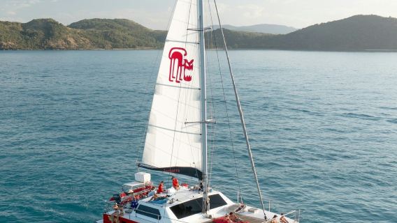 หมู่เกาะวิทซันเดย์: ทัวร์ล่องเรือหนึ่งวันจากแอร์ลีบีช