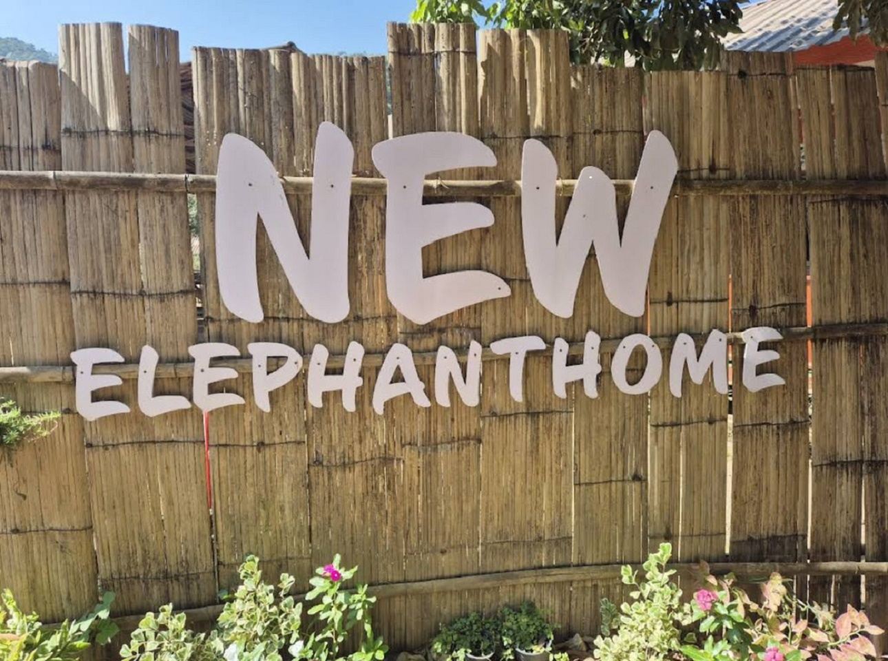New Elephant Home New Elephant Home