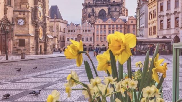 捷克克魯姆洛夫城堡-克魯姆洛夫城堡花園-聖維特大教堂-啤酒廠