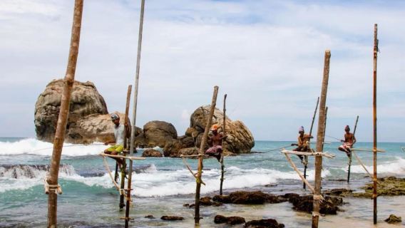 Tagesausflug von Colombo in Sri Lanka aus: Strandzug, Stelzenfischer und die Festung Galle