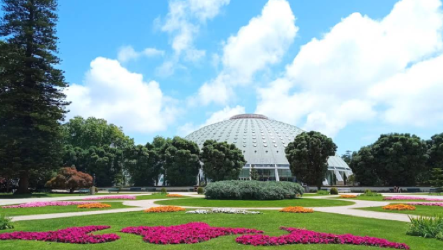 葡萄牙波多-萊羅書店-水晶宮花園【中文專車-愜意舒適】