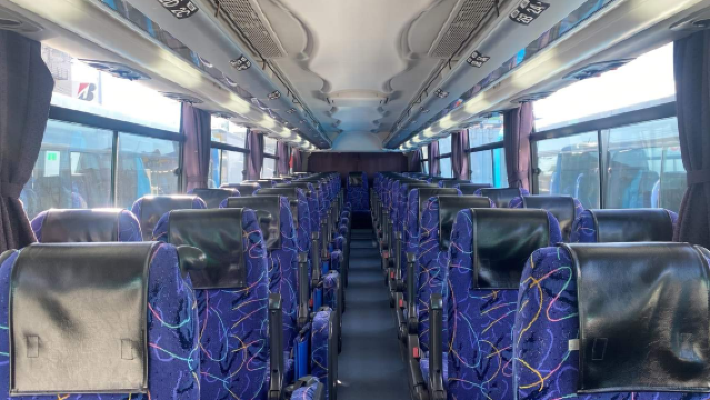 Biglietto bus Giappone andata e ritorno da Tokyo Shinjuku a Fuji Kawaguchiko, Yamanakako, Fuji-Q Highland, biglietto elettronico senza bisogno di scambio