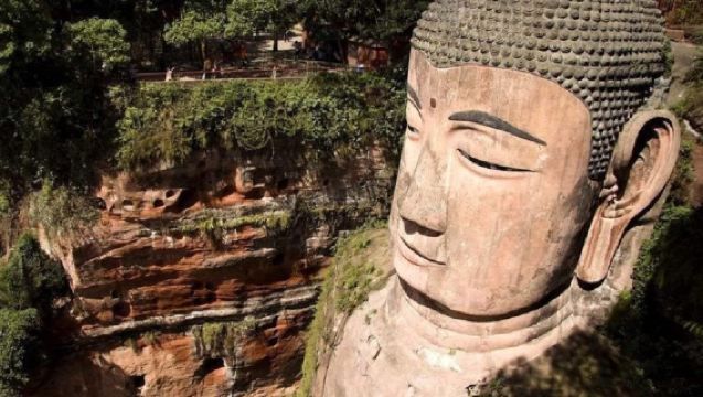 Enjoy a complete tour | Panda Base + Leshan Giant Buddha Day Trip | Includes transportation/English-speaking tour guide