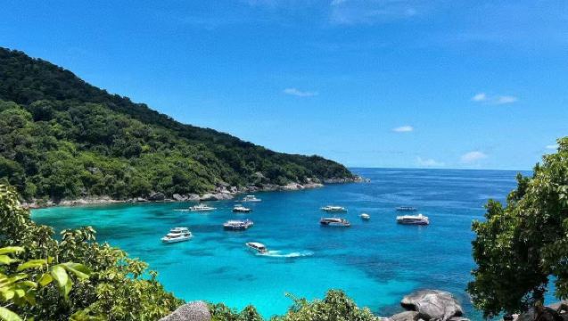 曼谷本地資深陪同翻譯｜專注中泰 / 中英互譯｜商務翻譯、展會翻譯、市場陪同、旅遊地陪、出行導覽全承接