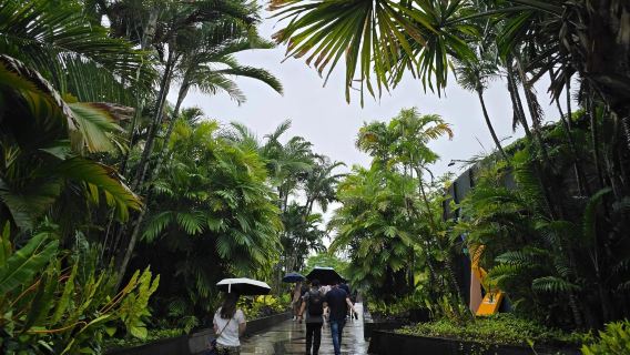 Singapore slow travel is suitable for all ages, featuring the city's botanical garden + suburban Jurong Lake + Marina Bay landmarks