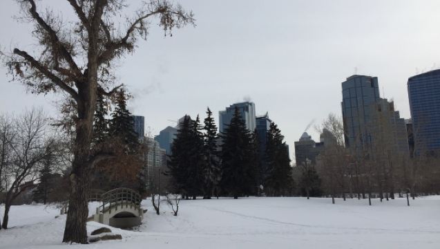 加拿大卡爾加里王子島公園 + 和平橋 【中文司機/行程可調】