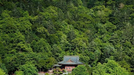 Tokyo day tour Nikko Toshogu shrine Futarasan shrine Lake Chuzenji Kegon waterfalls