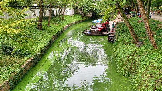 Entrada a la Colina del Tigre + explicación cultural "Artesanía de Suzhou" (incluye auriculares inalámbricos) + excursión de medio día con experiencia de degustación de té