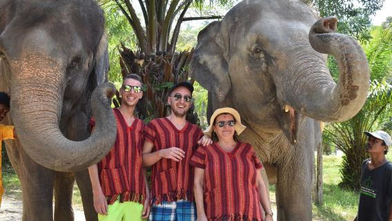 Elephant care park Phuket interaction experience (feeding interaction + conservation + limited-time activity)
