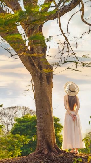 [ทัวร์สุดพิเศษ] สวนพฤกษศาสตร์เขตร้อน CAS + สวนไท ทัวร์ 1 วัน | เลือกใช้บริการเหมารถรับส่งถึงที่ได้