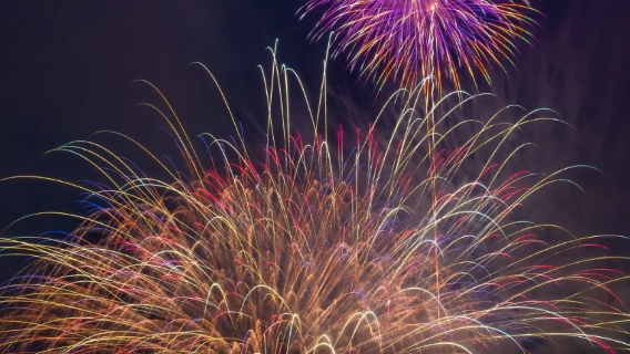 Tokyo round-trip · Tsuchiura National Fireworks Competition 1-day tour | meet at Senso-ji/hotel transfer