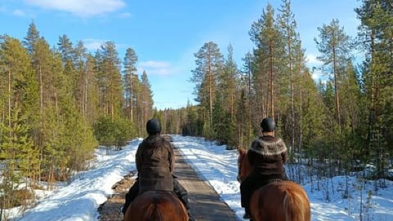 Rovaniemi: Forest Horseback Riding Tour with Transfers