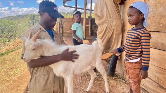 Kigali: La Fromagerie Farm Tour with Cheese Tasting