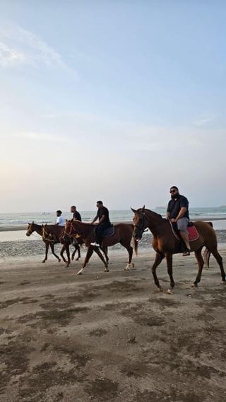 Horse Riding Muscat | Beach Horse Riding