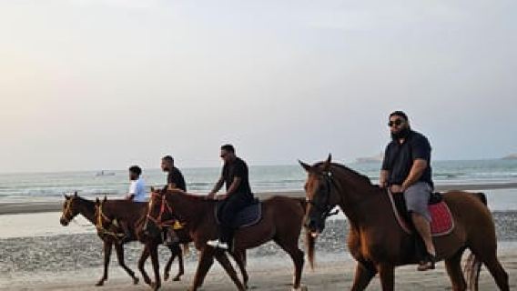 Horse Riding Muscat | Beach Horse Riding