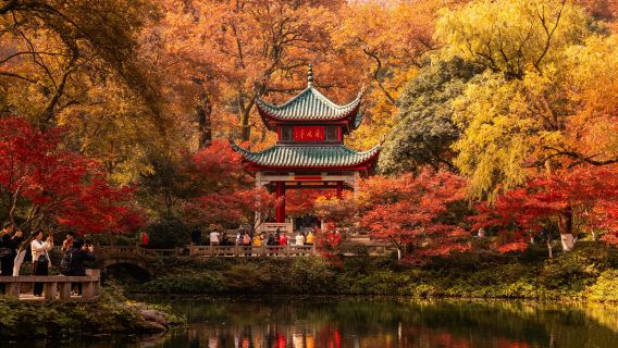 [Visite privée avec commentaire en anglais] Mont Yuelu + Pavillon de l'Amour du Soir + Académie Yuelu + Île aux Orangers + Quatre grandes rues anciennes