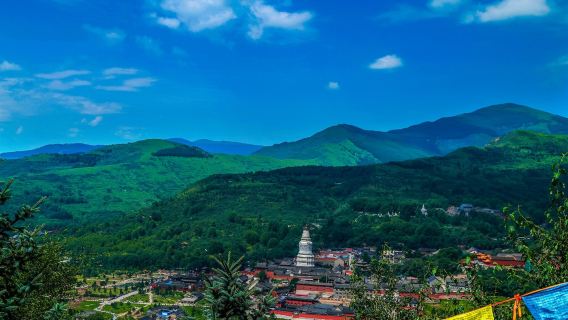 One-day tour to Wu Tai Shan from Taiyuan: Sacred Buddhist realm · refreshing Wu Tai journey