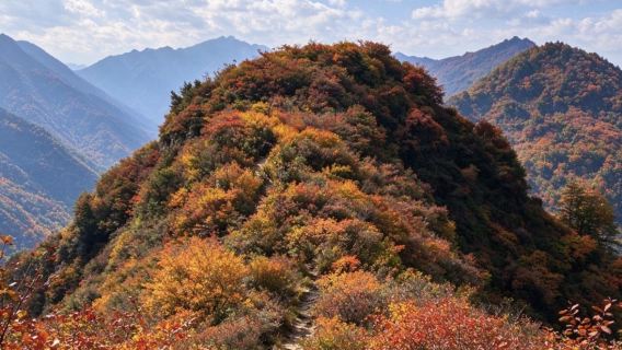 Tuangbiao Valley day tour: Fall for the autumn leaves and explore the leisurely hiking trail of the twelve heavenly gates