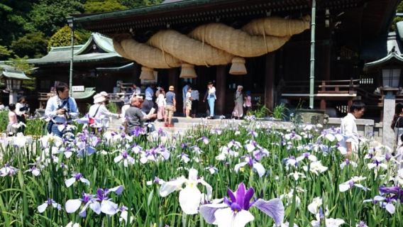 Lawatan sehari Fukuoka Kitakyushu | Istana Kokura · Uminonakamichi · Kuil Miyajidake Bertolak dari Hakata