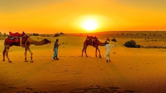 MarrakechTours