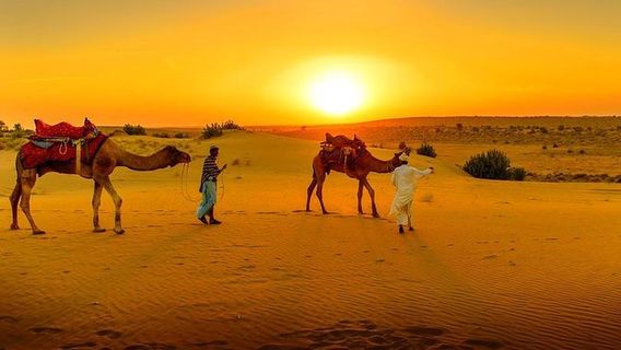 MarrakechTours