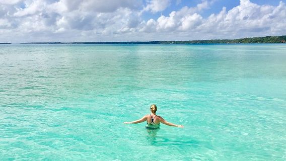 Bacalar