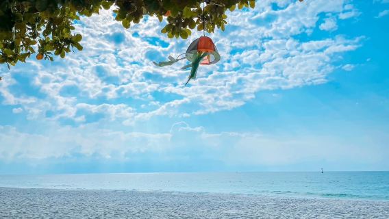 Koh Samed Day Trip by Speed Boat(English-Speaking Guide)