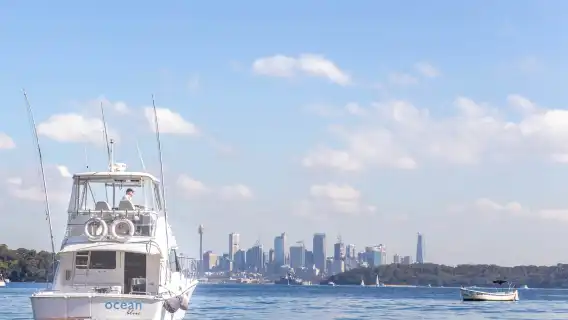 悉尼港水邊餐廳午餐和巡航體驗