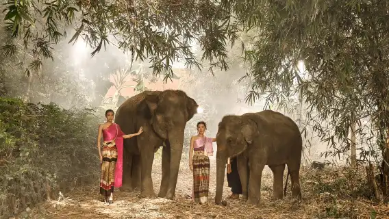 【暢遊曼谷大象營】親密接觸大象，餵食嬉水樂無窮！