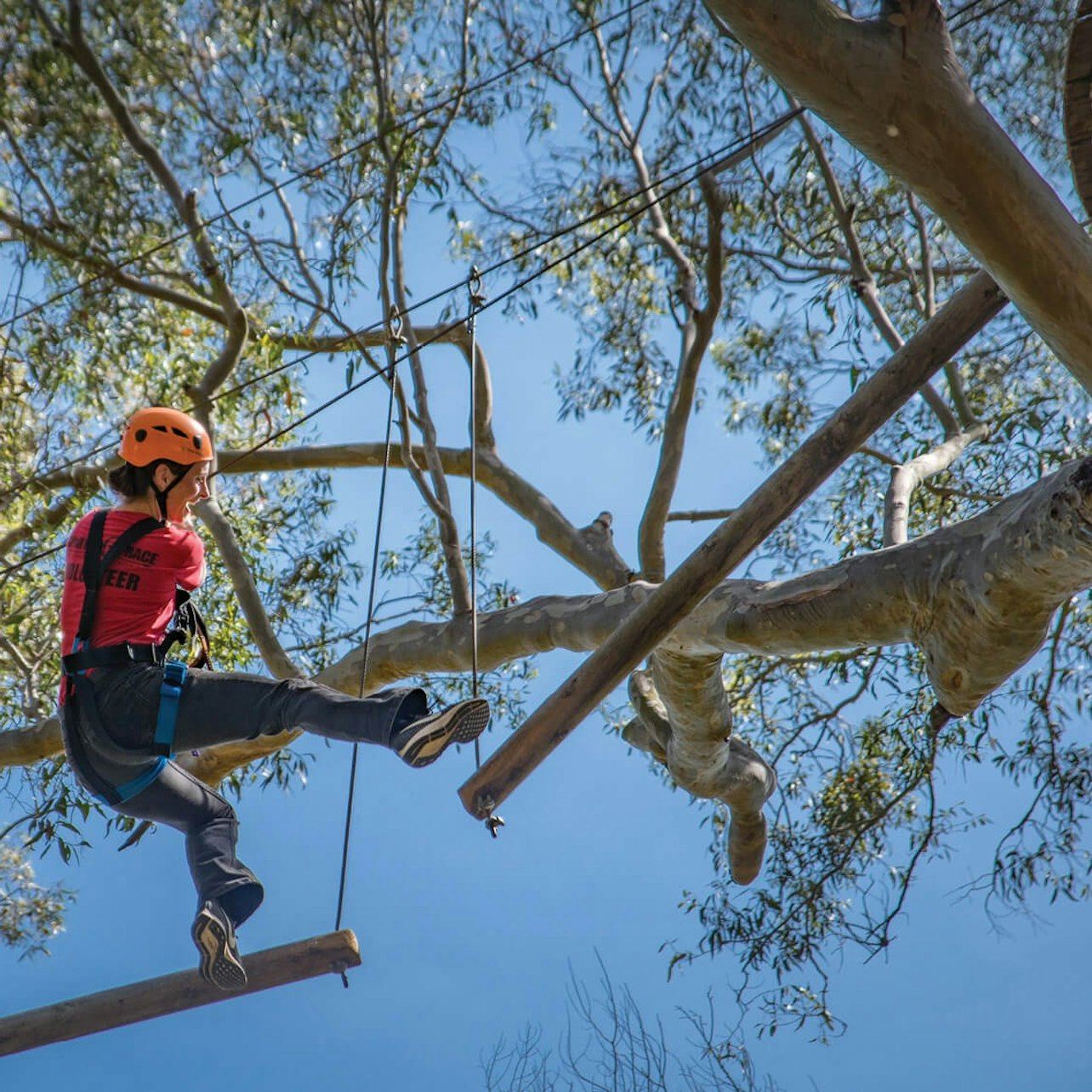 웨스턴 시드니: 트리탑스 어드벤처