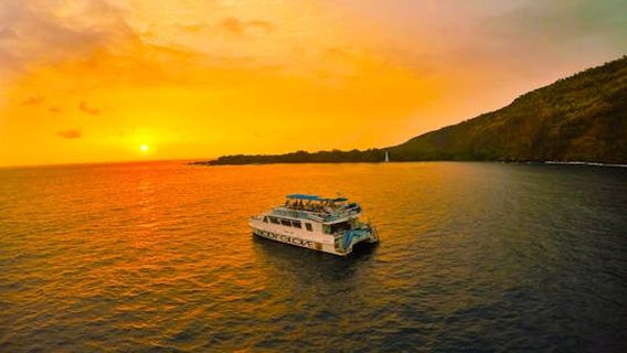 The Big Island (Hawaii island)Experiences