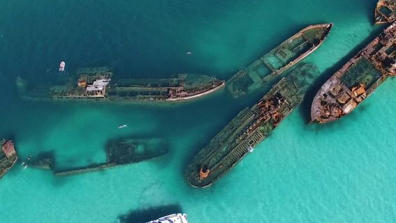 Tangalooma Wrecks & Dolphin Cruise from Brisbane