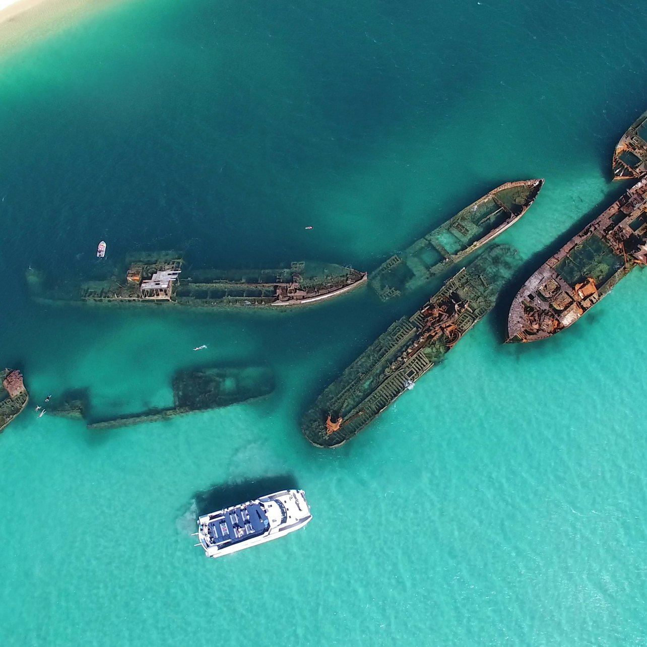 Tangalooma Wrecks & Dolphin Cruise from Brisbane
