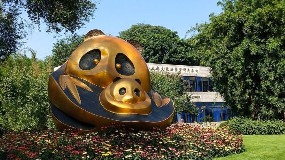 Eendaagse privétour met gecharterde auto Chengdu-Dujiangyan + Pandavallei