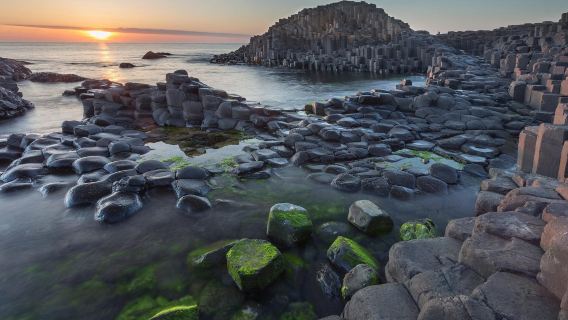 Giant's Causeway + Dark Hedges + Carrick-a-Rede Rope Bridge one-day tour Belfast, UK