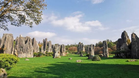 Куньмин + Шилин Цзюсян: однодневный тур|гид|середина|Британия|Русский|немецкий|Маршрут можно настроить.