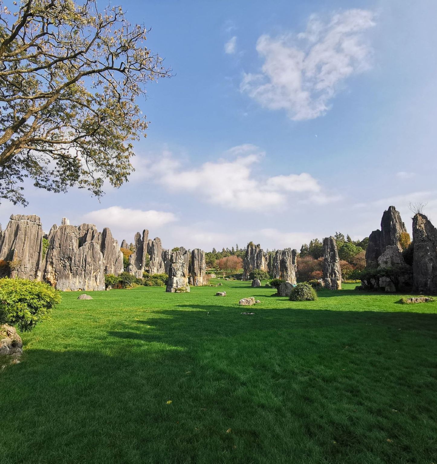 1-day tour of Kunming + Stone Forest and Jiuxiang|Guide|Moderate|EN|Russian|German|Customizable Itinerary