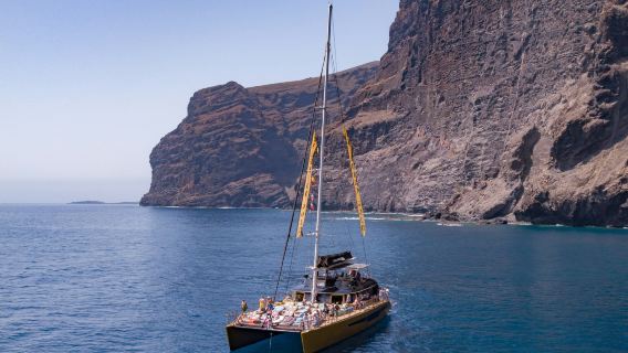 Tenerife: 4.5-Hour Whale & Dolphin Watching Tour to Masca & Los Gigantes