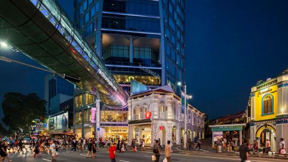 新加坡國家美術館+河川生態園+探索號鴨子船一日遊