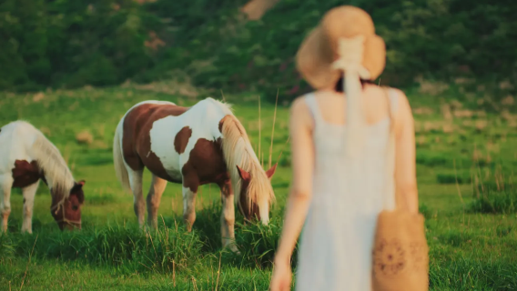 Kyushu, Japan: A 1-day tour to Mount Aso, Kusasenri Horseback Riding, and Takachiho Gorge