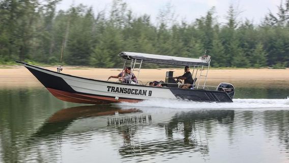 Merang