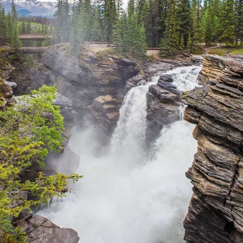 卡爾加里/班夫來回班夫國家公園深度1日跟團行程