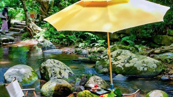 武夷山情人谷鄉野一日遊【抓魚摸螺親水體驗+農家菜+手工製茶】