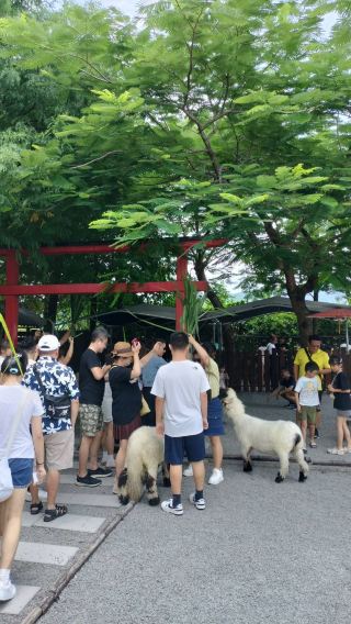 Yilan Classic Tour: Zhang Mei Farm & DIY Experience at Qingshui Geothermal Area (Hotel Pickup from Taipei)